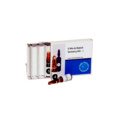 KIT SENSORIAL - 5 MIX&MATCH                  
