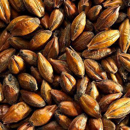 MALTA BROWN MALT