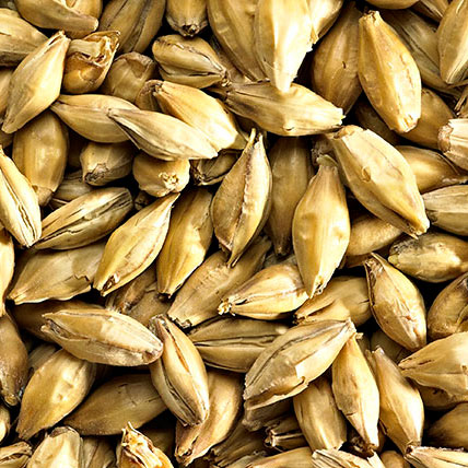 MALTA EXTRA PALE ALE MALT