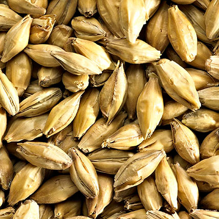 MALTA FINEST LAGER MALT