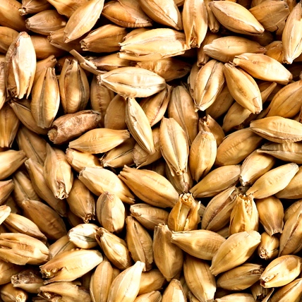 MALTA F. GOLDEN PROMISE