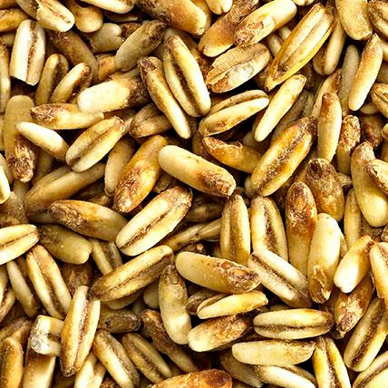 MALTA GOLDEN NAKED OATS