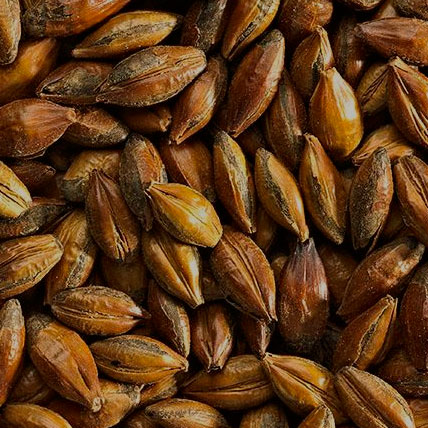 MALTA ROASTED BARLEY