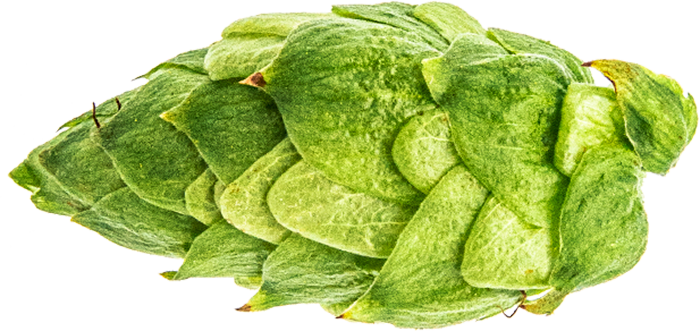 CRYOPELLET CITRA 2022                
