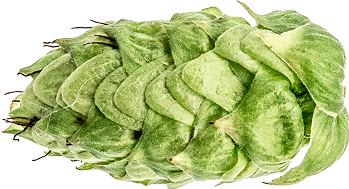 CRYOPELLET SABRO 2022         