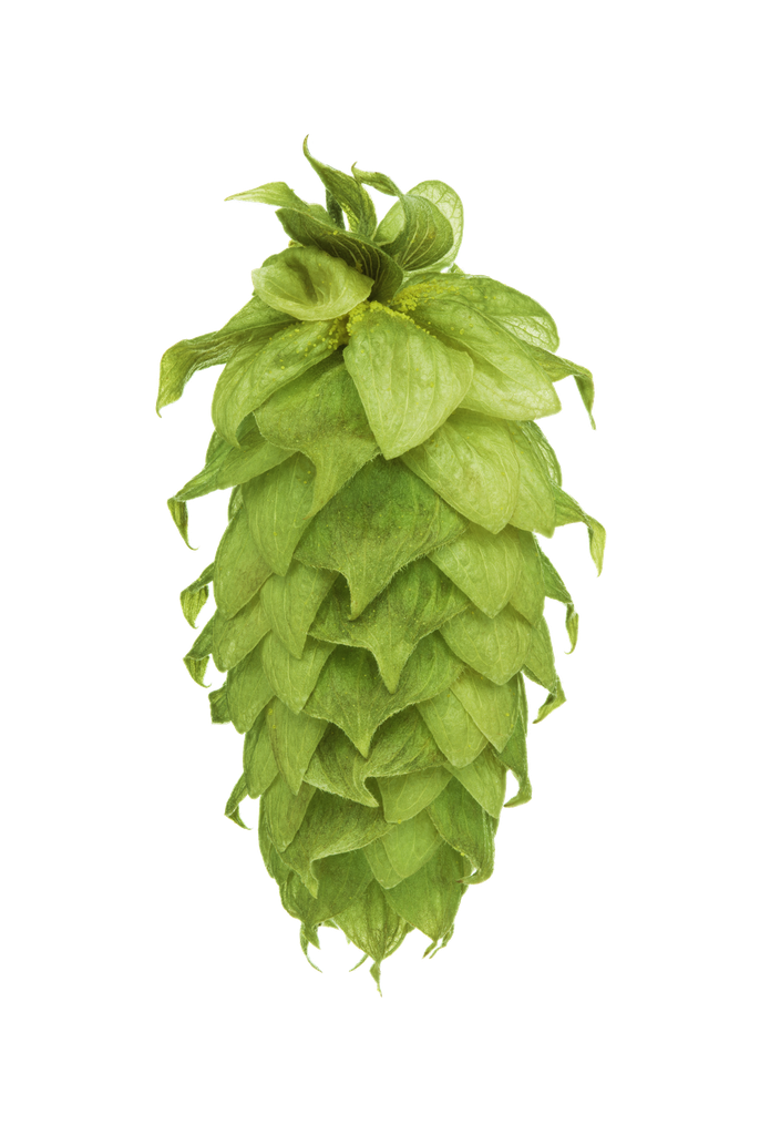 LÚPULO WAIMEA PELLET HOP REV. 2024