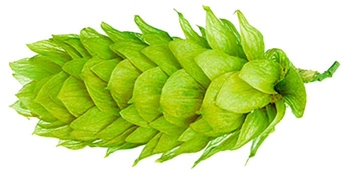LLÚPOL RAKAU PELLET 