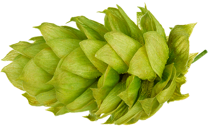 LLÚPOL MOUTERE PELLET 