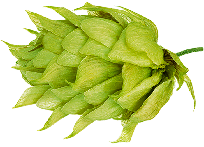 LLÚPOL RIWAKA PELLET 