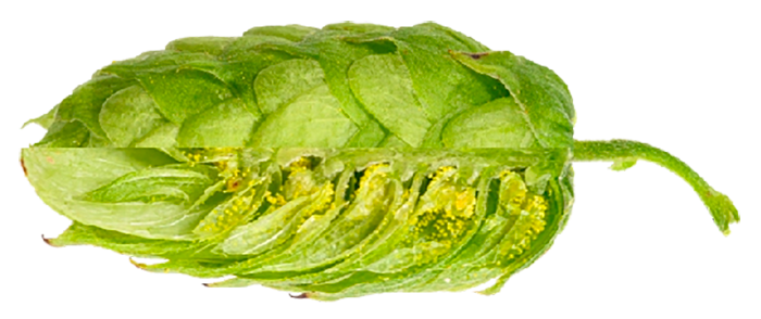 LLÚPOL AMARILLO PELLET 