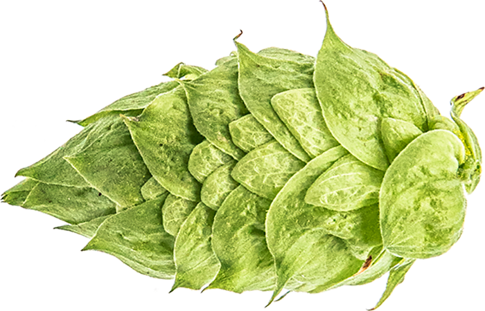 CRYOPELLET EKUANOT 