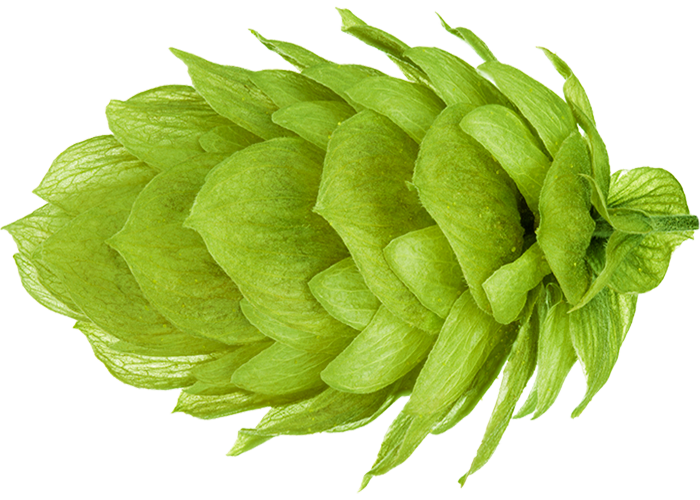 LÚPULO CRYO HOPS NELSON SAUVIN YAKIMA 