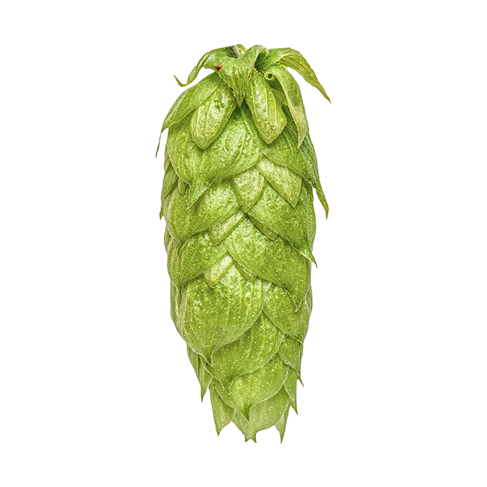 LLÚPOL CRYO HOPS NELSON SAUVIN YAKIMA 