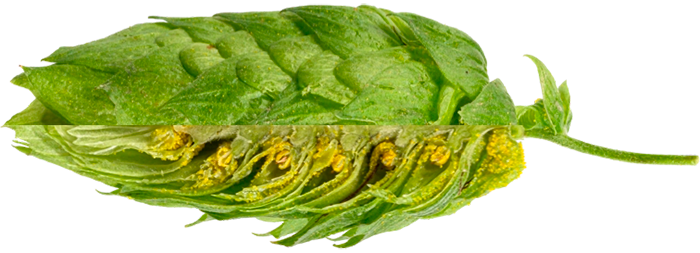 LLÚPOL MAGNUM PELLET 