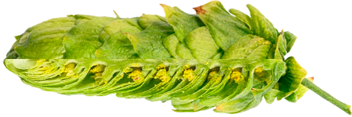 LLÚPOL HUELL MELON PELLET 