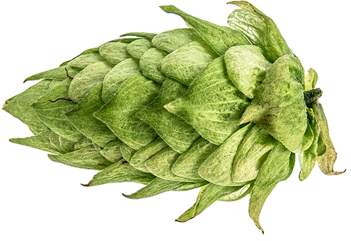 CRYOPELLET CENTENNIAL 