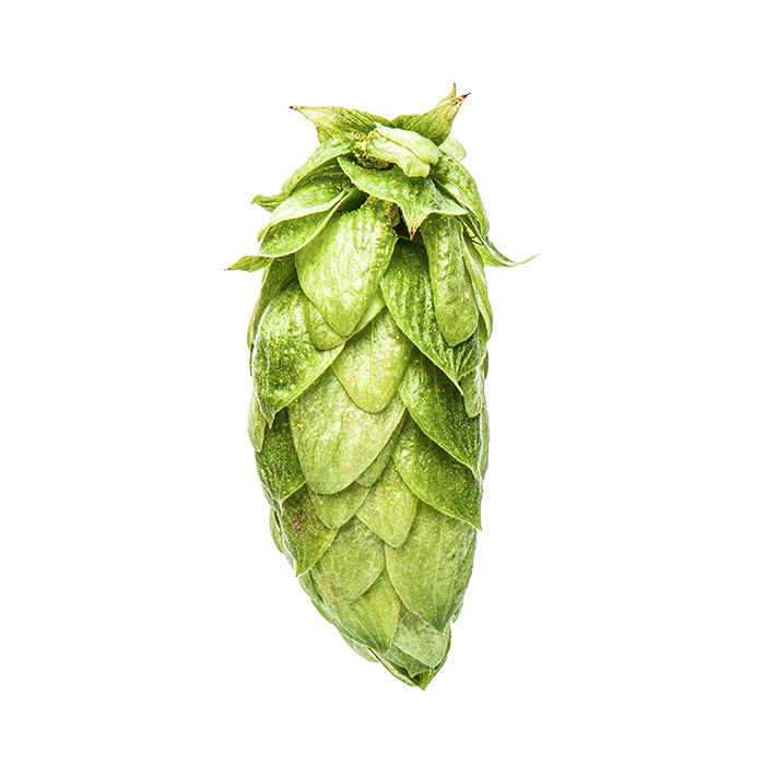 LÚPULO CRYO HOPS NECTARON YAKIMA 2025 
