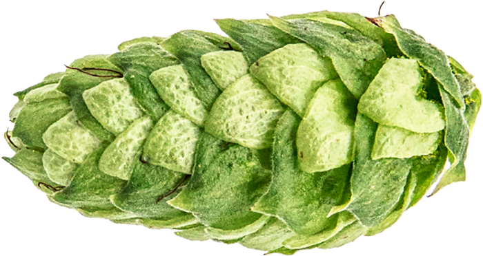 CRYOPELLET LORAL 