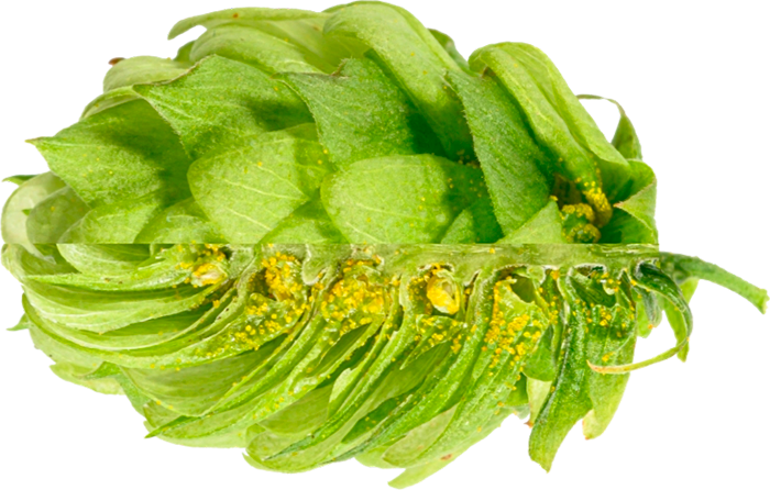LLÚPOL SAPHIR PELLET 