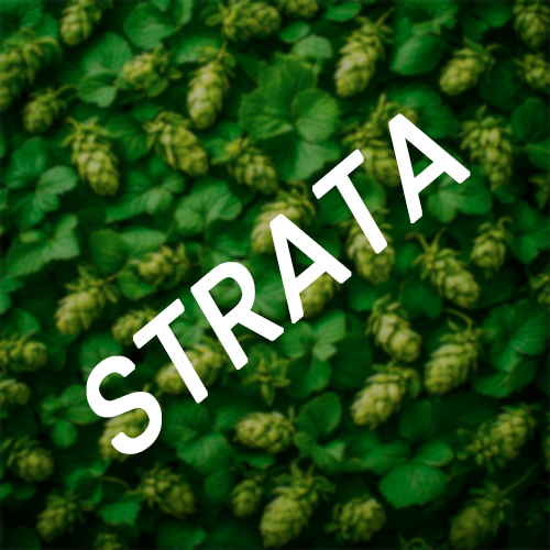 CGX STRATA CRYOGENIC LUPULIN PELLET CROSBY 2024