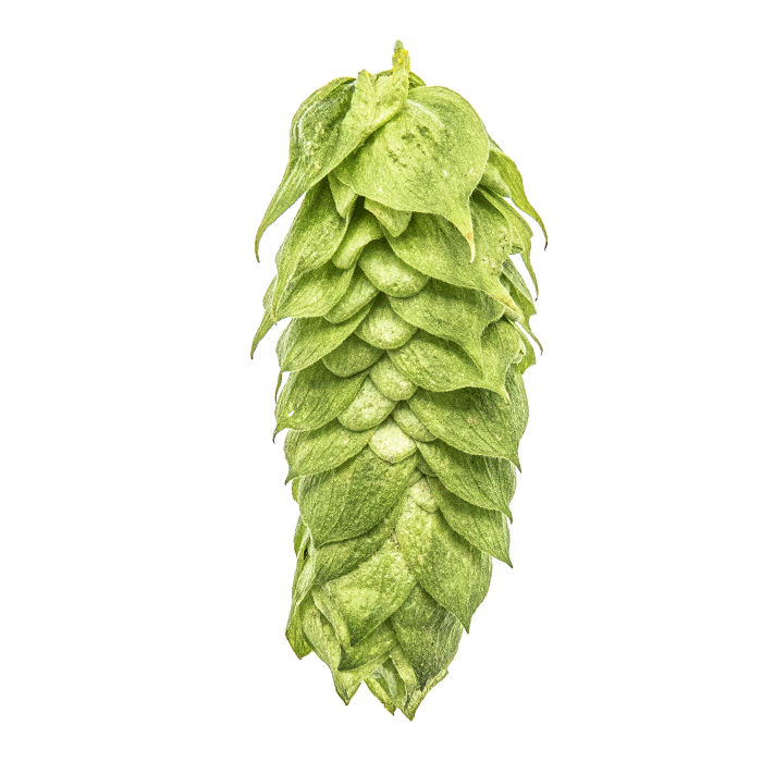 LÚPULO COMET PELLET YAKIMA 