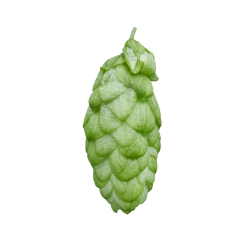 LÚPULO E.K.G. CHARLES FARAM