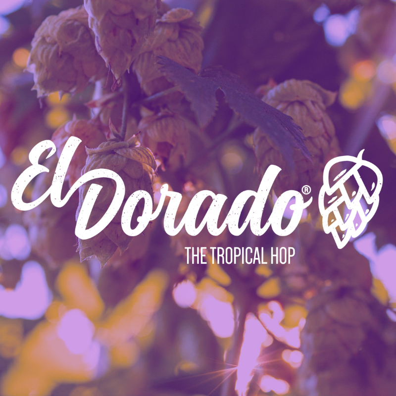 CGX EL DORADO CRYOGENIC LUPULIN PELLET CROSBY