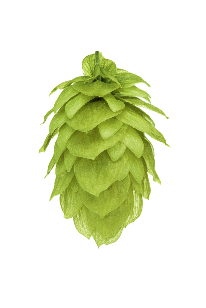 LLÚPOL NELSON SAUVIN PELLET HOP REVOLUTION 2025