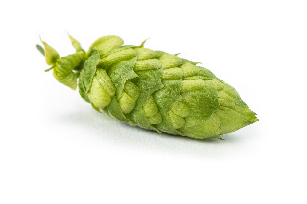 LLÚPOL POLARIS PELLET HVG 