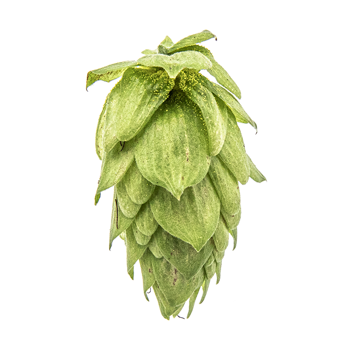LÚPULO SORACHI ACE PELLET 2025