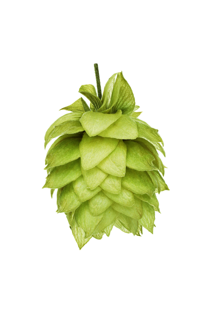 LÚPULO WAI-ITI PELLET HOP REVOLUTION 