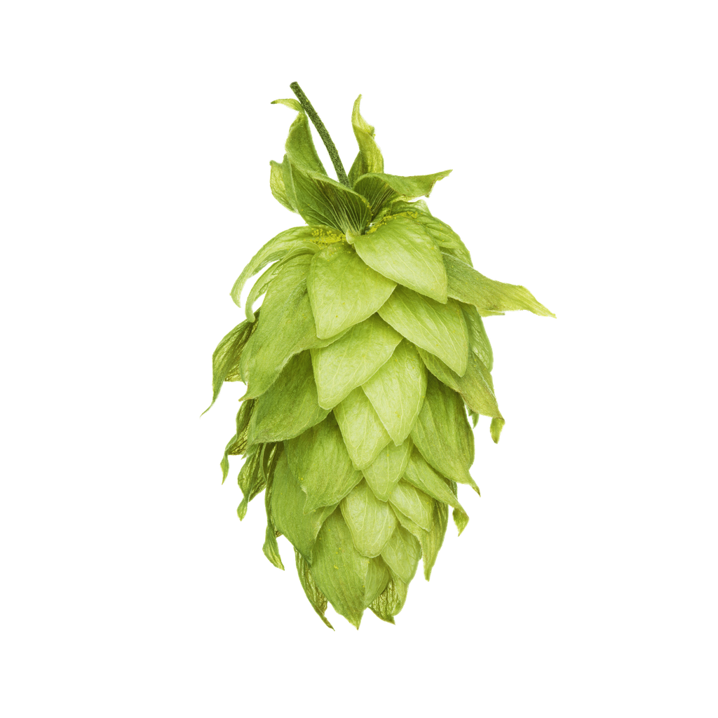 LLÚPOL MOTUEKA PELLET HOP REVOLUTION 2025