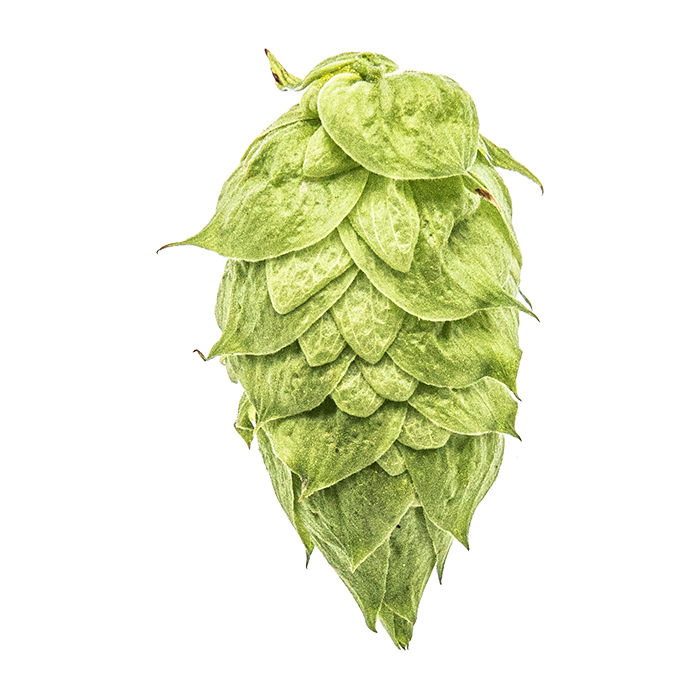 LLÚPOL CRYO HOPS EKUANOT PELLET YAKIMA 