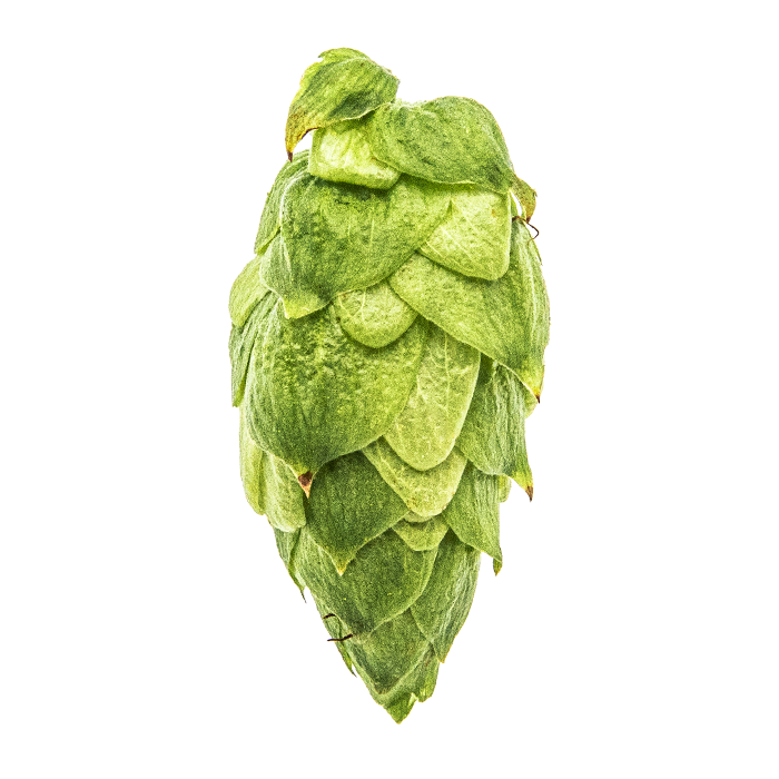 LLÚPOL CRYO HOPS CITRA PELLET YAKIMA 2025 