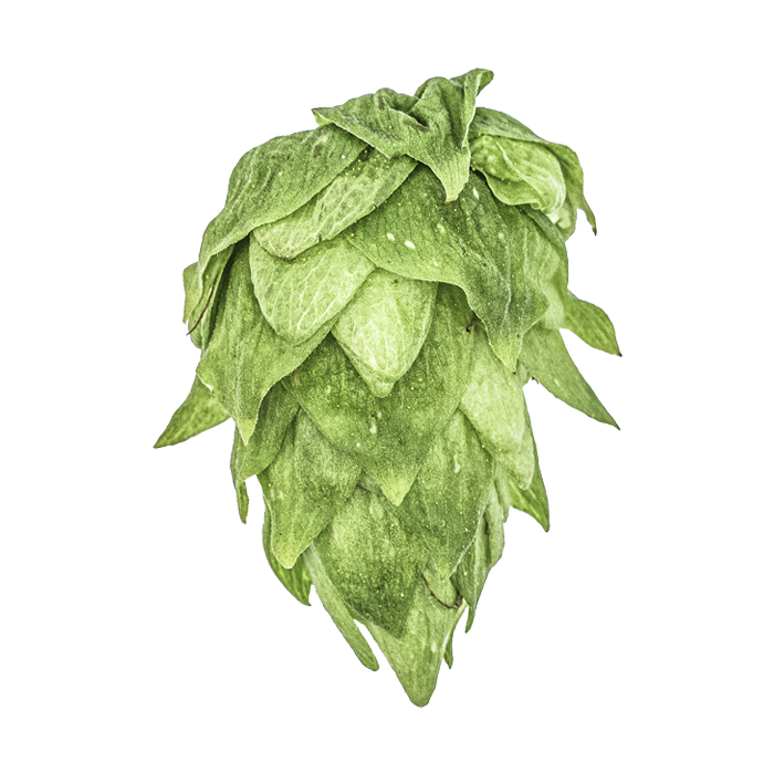 LLÚPOL CRYO HOPS KRUSH PELLET YAKIMA 2025
