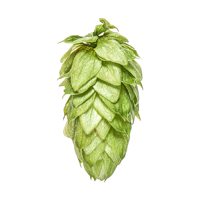 LLÚPOL CRYO HOPS MOTUEKA PELLET YAKIMA