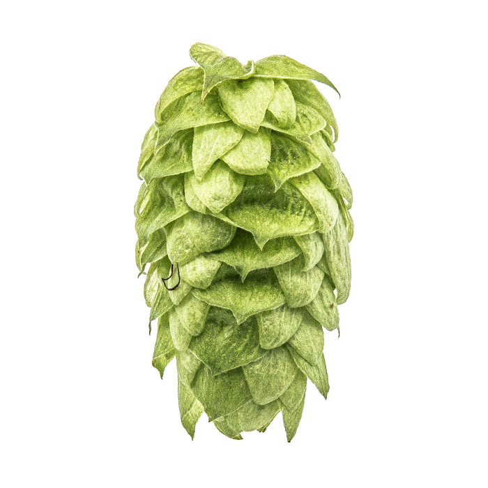 LLÚPOL CRYO HOPS MOSAIC PELLET YAKIMA 2025