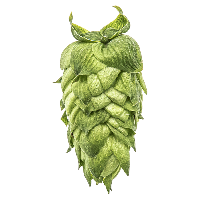 LLÚPOL CRYO HOPS IDAHO 7 PELLET YAKIMA 2025