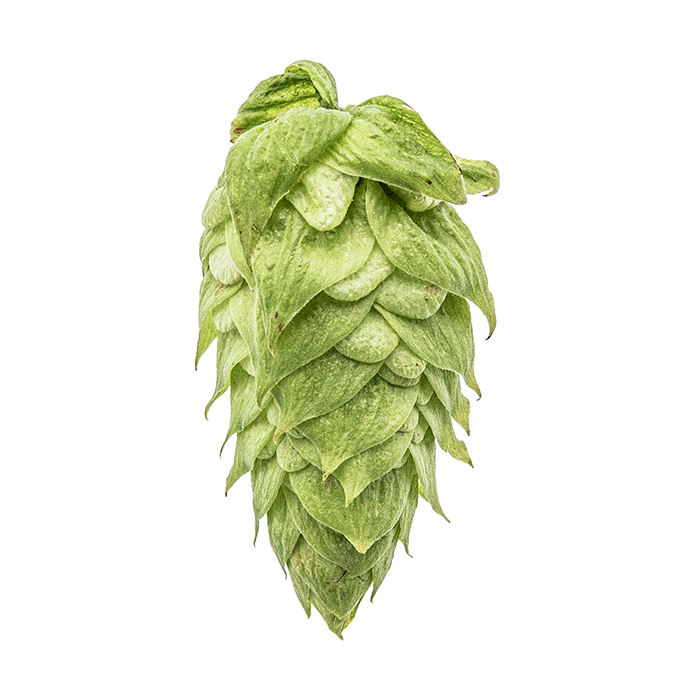 LLÚPOL CRYO HOPS EL DORADO PELLET YAKIMA