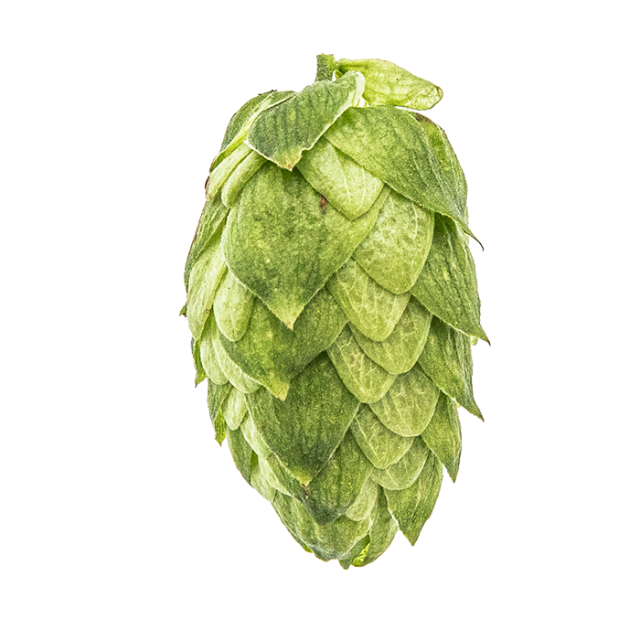 LLÚPOL CRYO HOPS AMARILLO PELLET YAKIMA