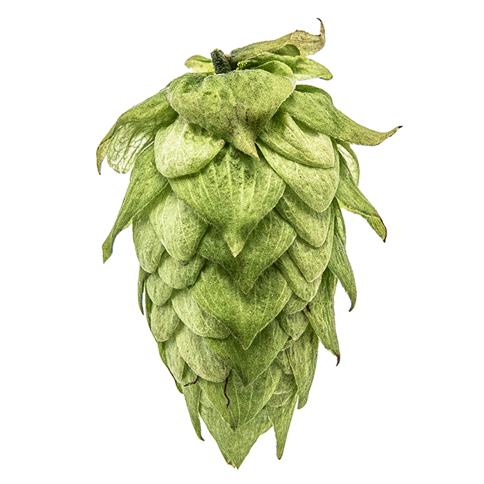 LÚPULO CRYO HOPS CENTENNIAL PELLET YAKIMA