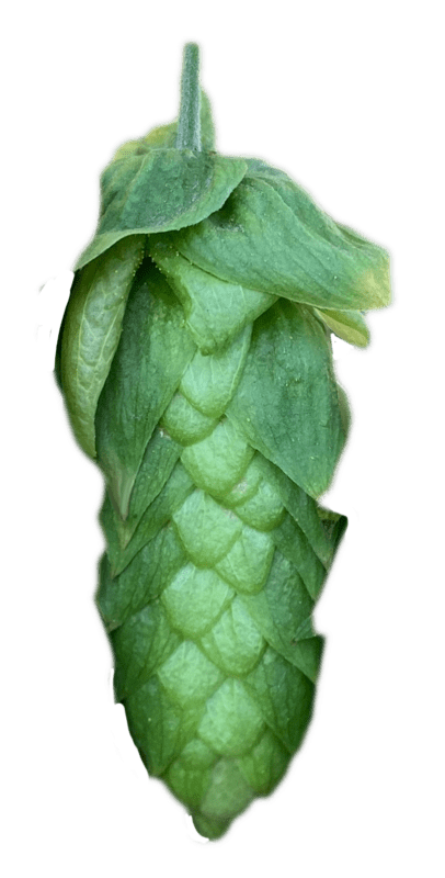 LLÚPOL ELANI PELLET CROSBY 