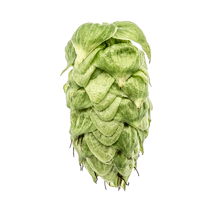 LLÚPOL CRYO HOPS STRATA PELLET YAKIMA 2025
