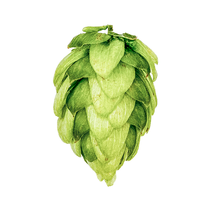LLÚPOL CRYO HOPS COLUMBUS PELLET YAKIMA 2025