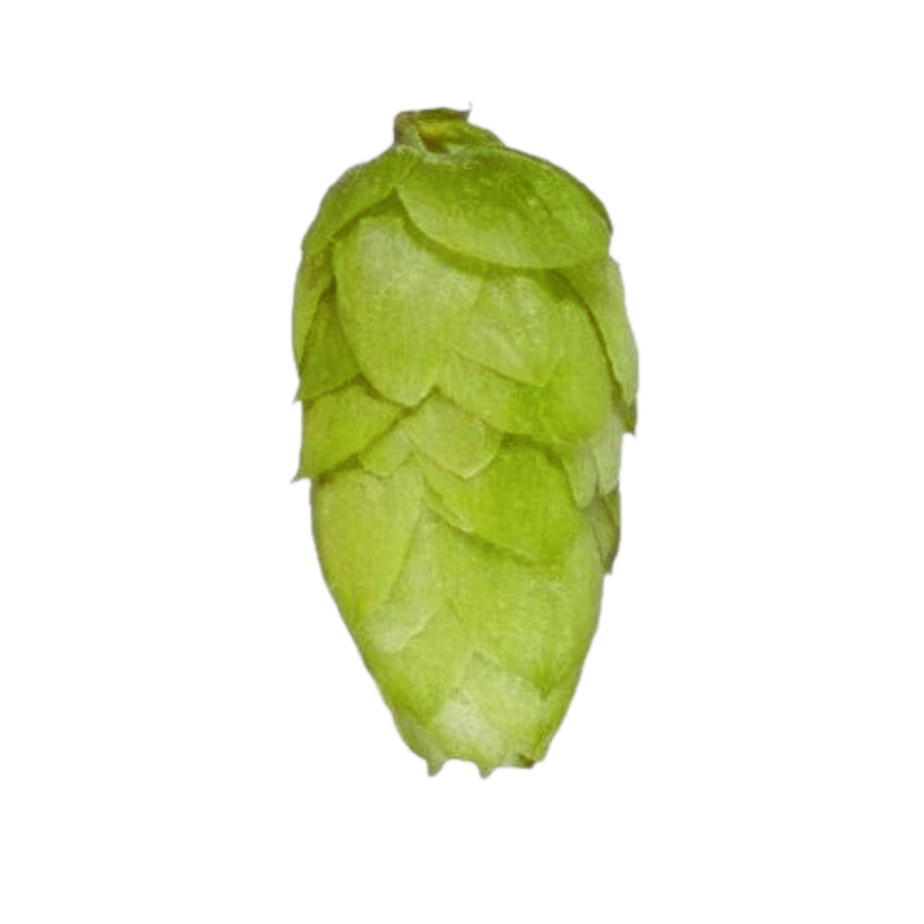 LÚPULO MOUTERE PELLET HOP REVOLUTION 2025