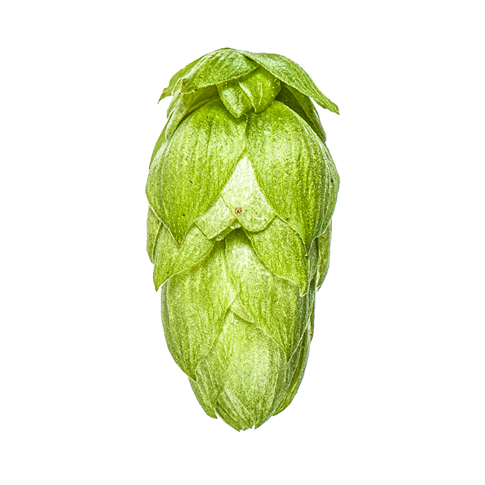 LLÚPOL RAKAU YAKIMA