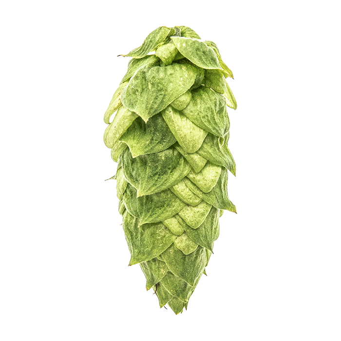 LLÚPOL WARRIOR PELLET YAKIMA 