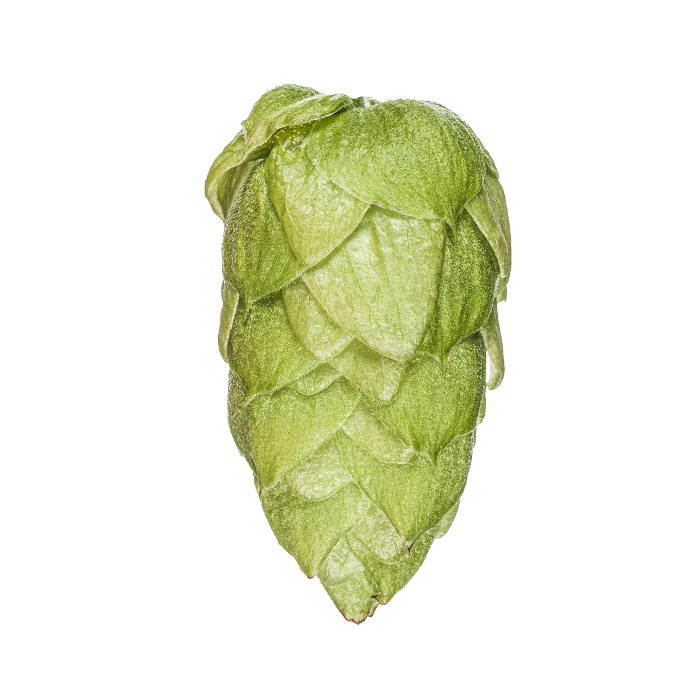 LÚPULO CRYO HOPS RIWAKA PELLET YAKIMA