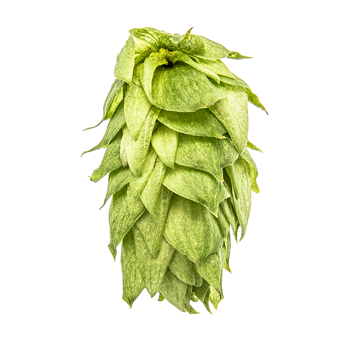 LÚPULO PALISADE PELLET YAKIMA 