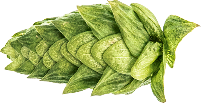 LÚPULO ECO CASCADE PELLET 2022